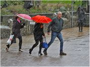Tony Howes - Facing the elements